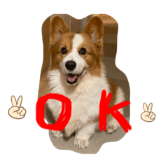 hikari_20201129183354