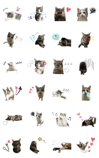 cat of cure Facial expressions