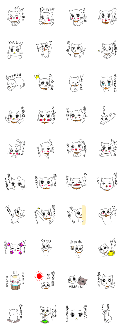 White cat,encourage.
