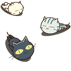 three cats(move)