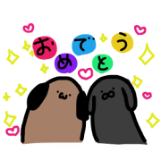 zoo and rabbit