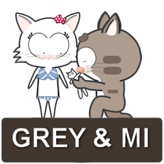 Mr Grey Little Cat 2