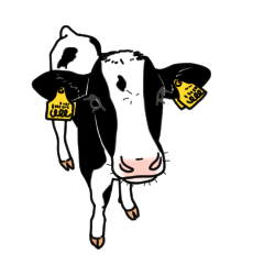 Calf ranch sticker