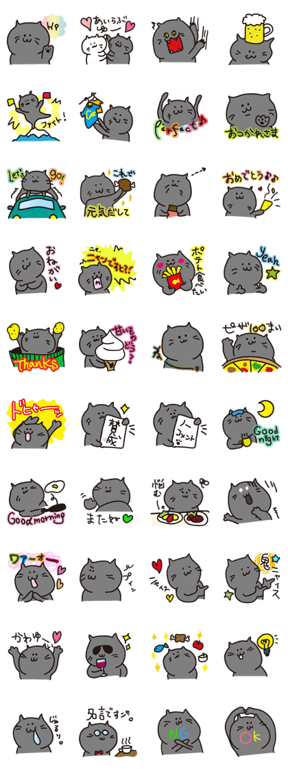 My chubby gray cat