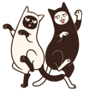 Cats High and Raw