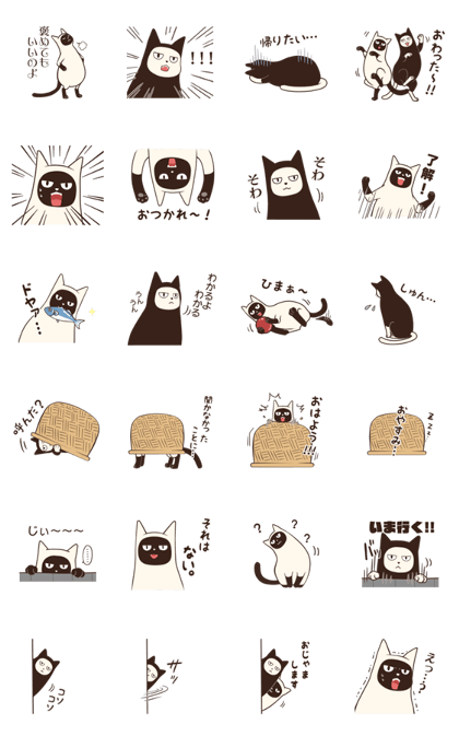 Cats High and Raw