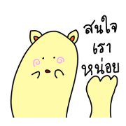 Cute Funny Seals