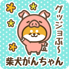 Petit Shiba Ganchan (Joke Animal)