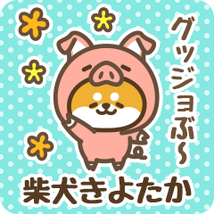 Petit Shiba Kiyotaka (Joke Animal)