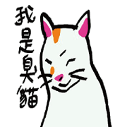 I am a stupid cat