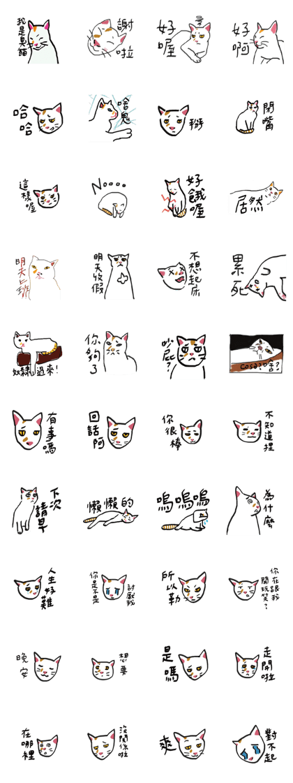 I am a stupid cat