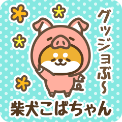 Petit Shiba Kobachan (Joke Animal)