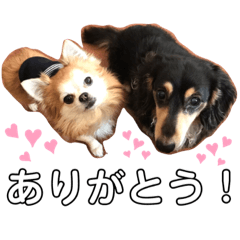 チワワ Lineクリエイターズスタンプまとめ Stamplist Part 2 チワワ Lineクリエイターズスタンプまとめ Stamplist Part 2