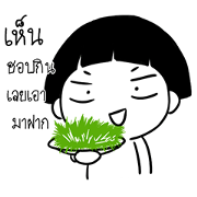 Somsri (TH)