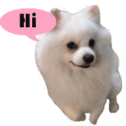ShiroDog