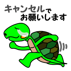 JIN-JIN Turtle Life 3