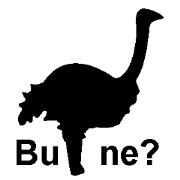 (Turkish)Silhouette Quiz 2