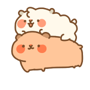 guinea pigs twins