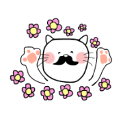 Chan-Hige