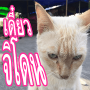 meawTHAI : You're gonna get it.