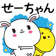 Se-chan name Only sticker