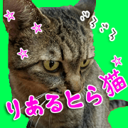 The Toraneko Sticker