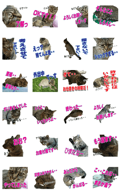 The Toraneko Sticker