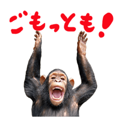 Chimpanzee Sticker5
