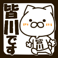 MINAKAWA-cat