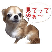 Mr.Thank you and amusing friends 3