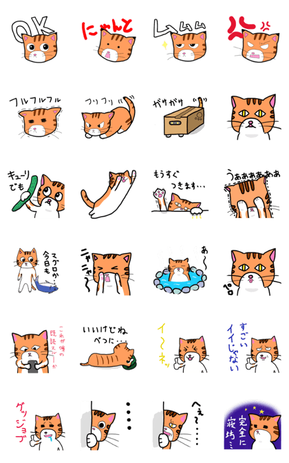 Cat's "tuna"