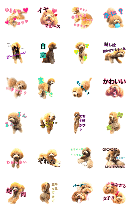 kakimaru sticker 2