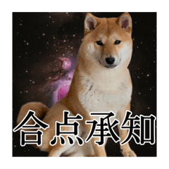 Risa_20201130211055