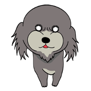 A tough looking puppy