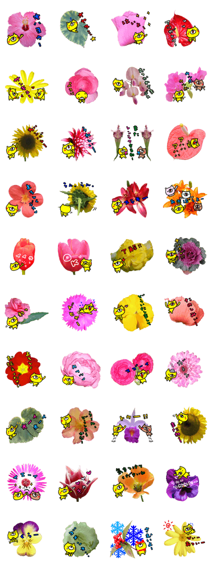 Collaboration of flowers and bears