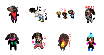 Recent Koro and Koharu