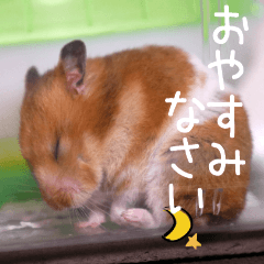 (Second edition)Hamster Sticker Sumire
