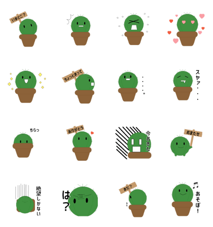 Cactus feering