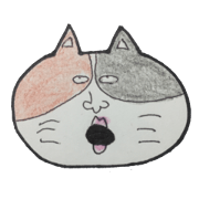 pretty cat 1