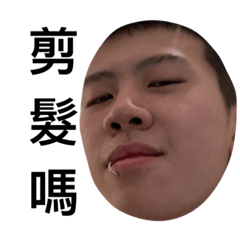 這就是毛毛朋友幫2