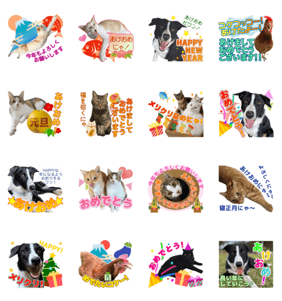 鶏と猫と犬とりあわせのお祝いスタンプ Lineクリエイターズスタンプ Stamplist