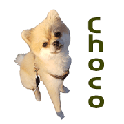 Feeling of choco:)