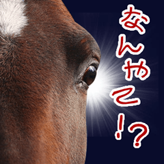 大阪弁をしゃべる馬のスタンプ 第二弾