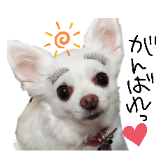 hikari_20201130213602