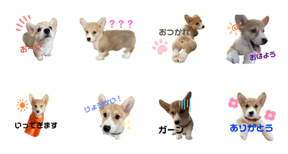 コーギーの子犬 Lineクリエイターズスタンプ Stamplist