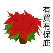 flowers language