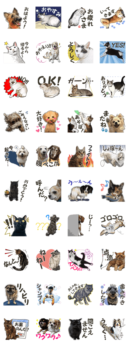 NUNOKAWA DOGS&CATS HOSPITAL