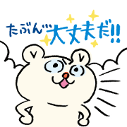 small bear Pokke 3