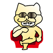 Cat put his sunglasses