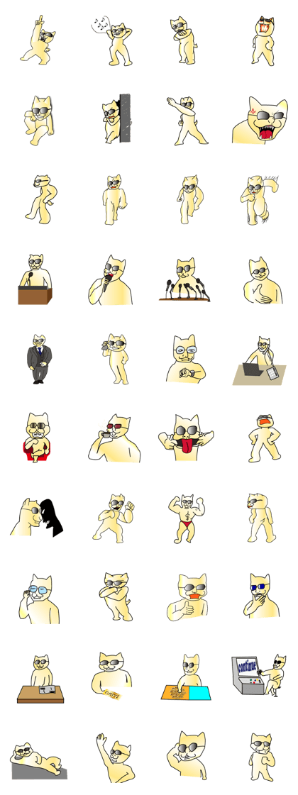 Cat put his sunglasses